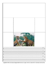 Popup-Buch-Tiger-1-8.pdf